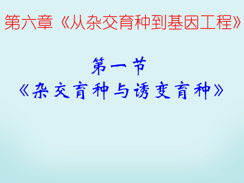 新人教版高中生物必修二：第6章-从杂交育种到基因工程-高效整合ppt课件