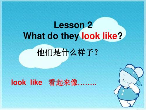 冀教版英语五年级上册第二课Lesson_2_What do they look like