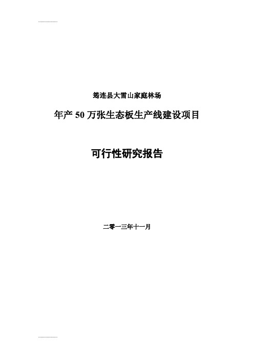 (整理)《新建年产50万张生态板生产线建设项目可行性研究报告》