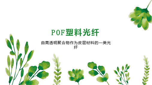 POF塑料光纤