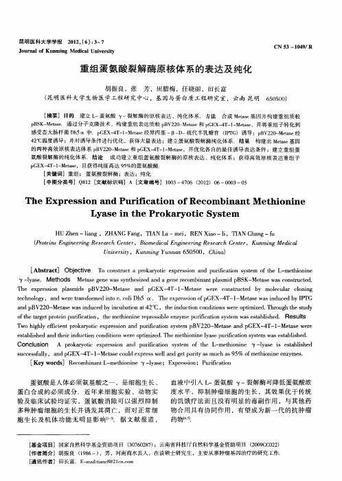 重组蛋氨酸裂解酶原核体系的表达及纯化