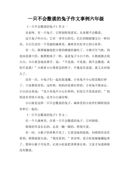 一只不会撒谎的兔子作文事例六年级