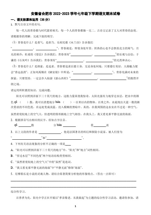 安徽省合肥市2022-2023学年七年级下学期语文期末试卷(含答案)2