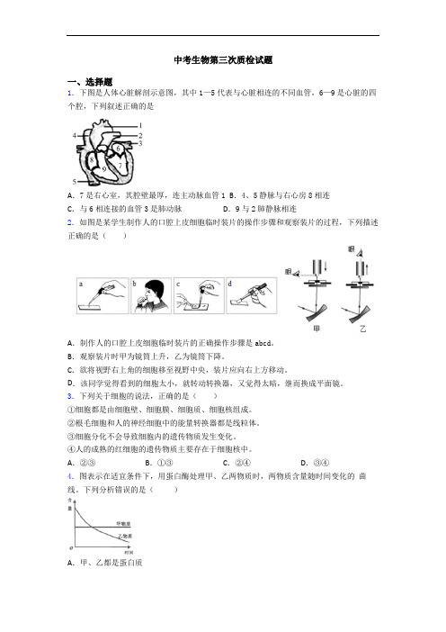 中考生物第三次质检试题