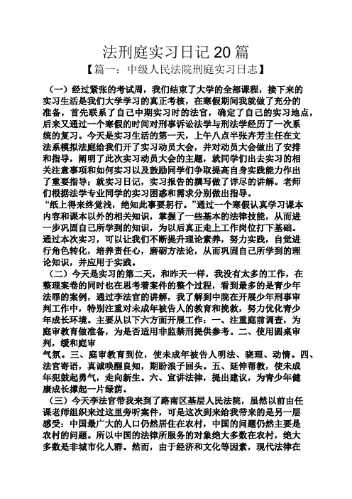 法刑庭实习日记20篇