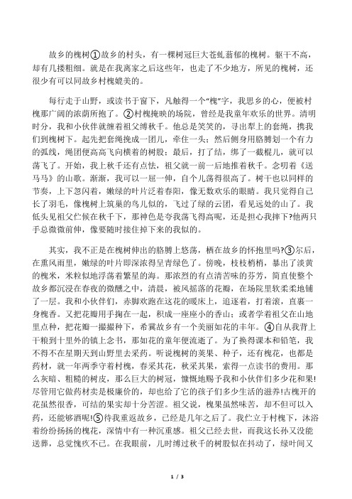 故乡的槐树 阅读训练及答案