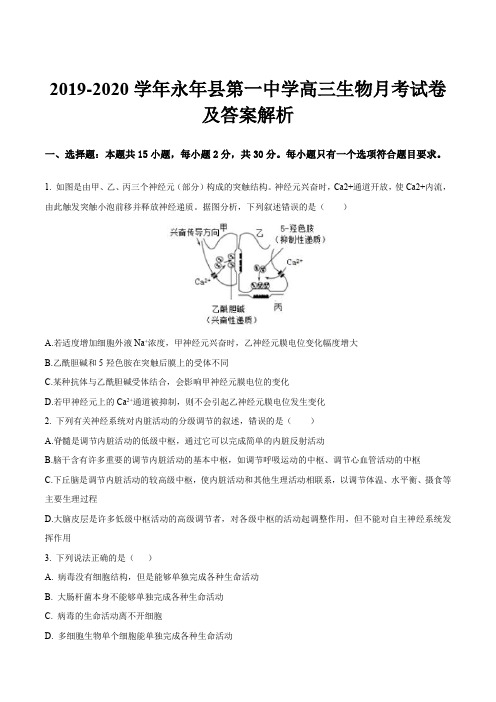 2019-2020学年永年县第一中学高三生物月考试卷及答案解析