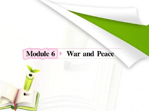 高中英语外研版复习课件:选修6 Module6 War and Peace