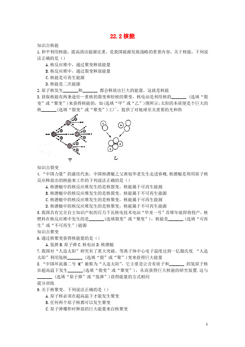 九年级物理全册22.2核能习题4新版新人教版