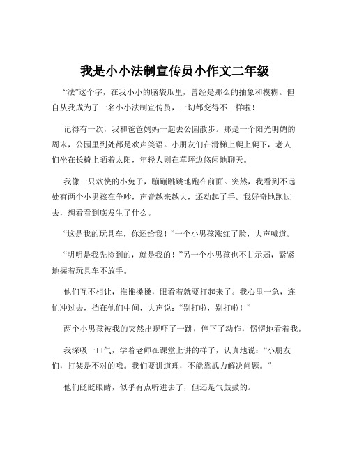 我是小小法制宣传员小作文二年级