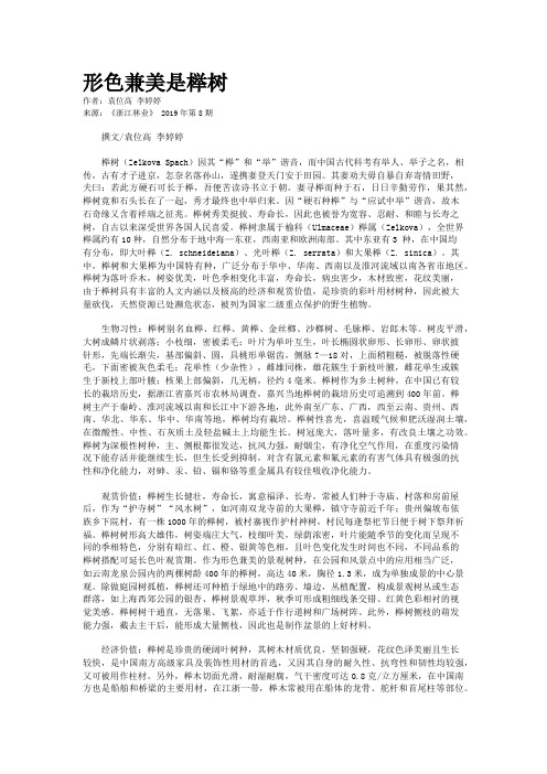 形色兼美是榉树