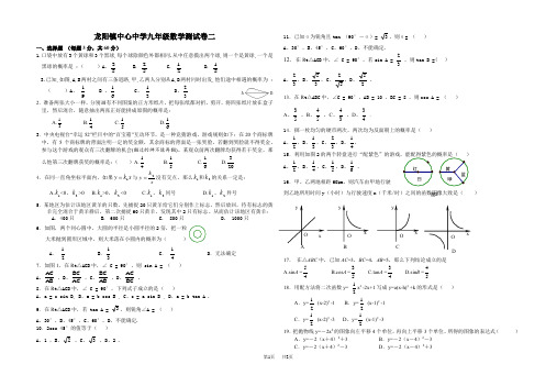 北师大九年级数学测试卷二