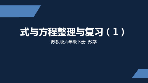 苏教版 小学数学 六年级 下册 式与方程整理与复习1 PPT课件