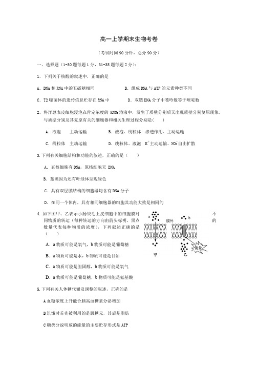 高一上学期生物期末试卷及答案.总结