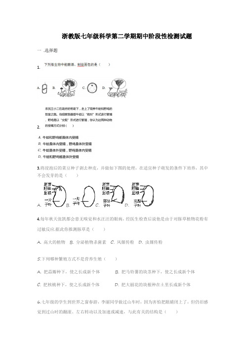 浙教版七年级科学第二学期期中阶段性检测试题