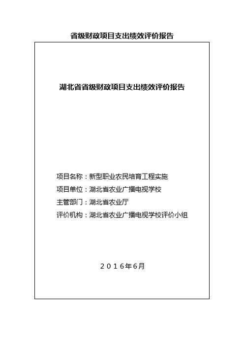 省级财政项目支出绩效评价报告