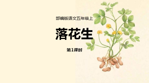五年级上册语文课件-2《落花生》课时1人教(部编版) (共22张PPT)