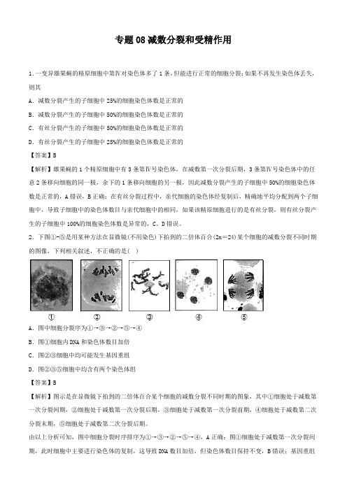 2020年高考生物精选考点专项突破8：减数分裂和受精作用附解析