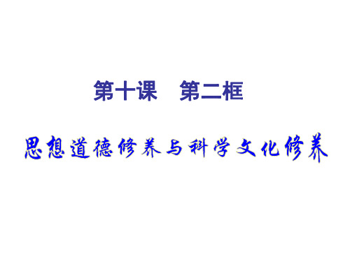 高二政治思想道德修养和知识文化修养