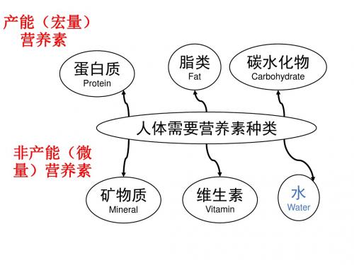 蛋白质碳水化合物和脂肪讲座(美容会所版)