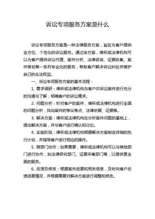 诉讼专项服务方案是什么