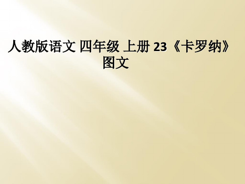 人教版语文 四年级 上册 23卡罗纳图文