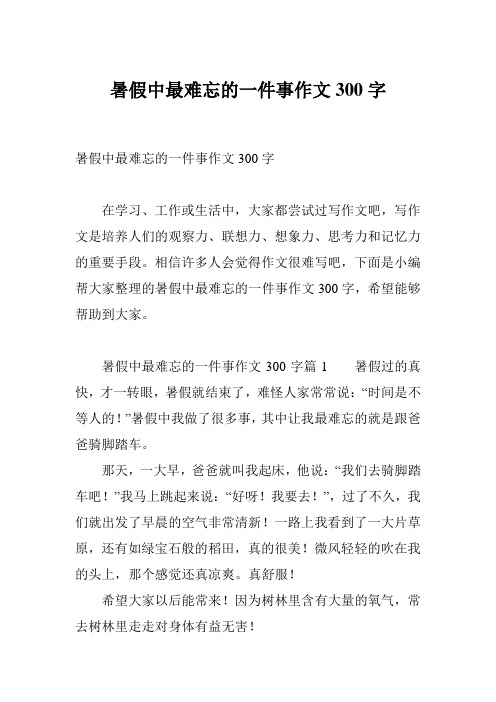 暑假中最难忘的一件事作文300字