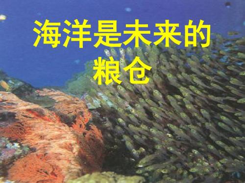 海洋是未来的粮仓ppt