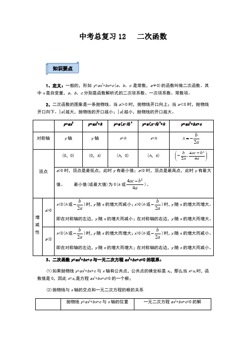 年九年级数学中考专题复习二次函数