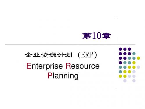 10 企业资源计划