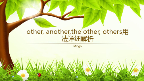 other, another,the other, others用法