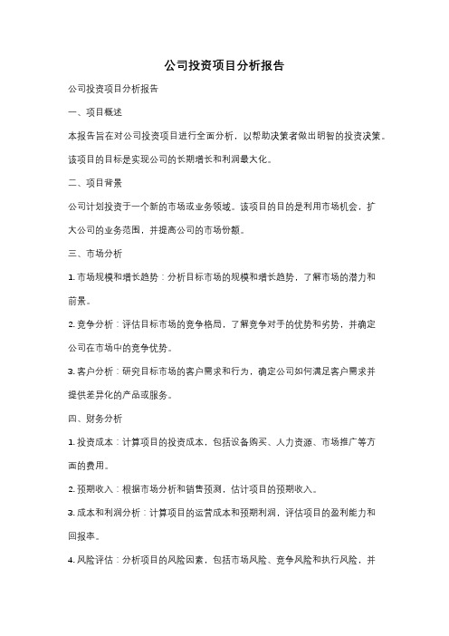 公司投资项目分析报告