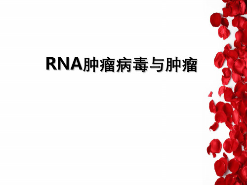 RNA病毒与人类肿瘤