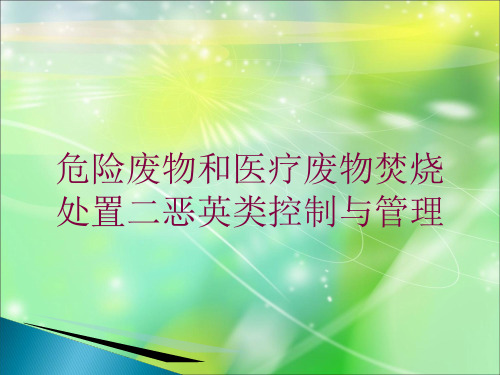 危险废物和医疗废物焚烧处置二恶英类控制与管理培训课件