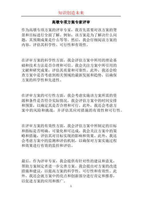 高墩专项方案专家评审