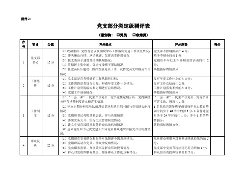 党支部分类定级测评表