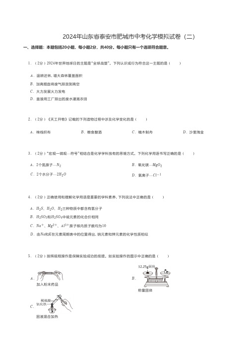 初中化学 2024年山东省泰安市肥城市中考化学模拟试卷(二)