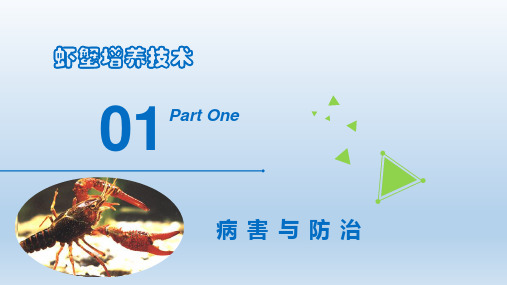 虾蟹养殖基础知识—病害检测、及防治