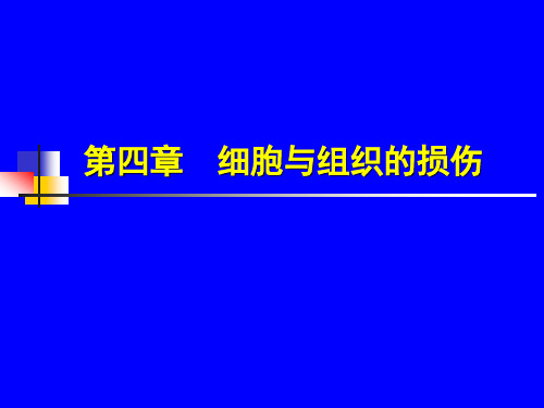 第四章 细胞和组织的损伤