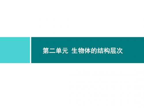 2017年人教版生物七年级上册导练课件：2.1.1 练习使用显微镜 (共15张PPT)