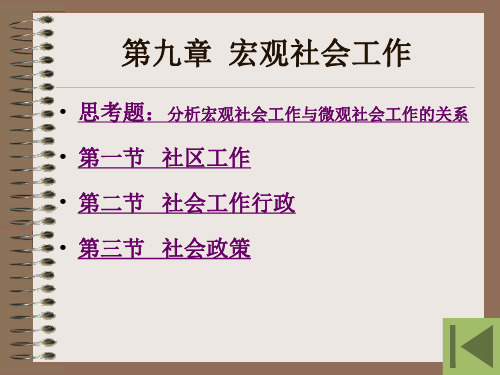 第九章宏观社会工作