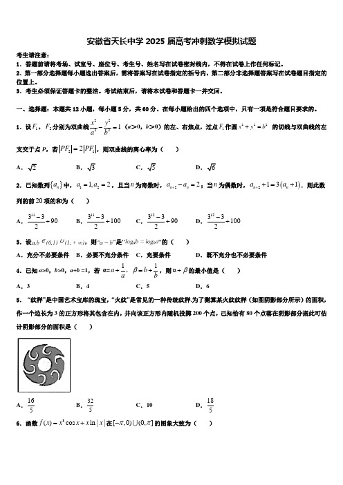 安徽省天长中学2025届高考冲刺数学模拟试题含解析