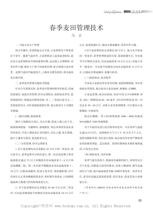 春季麦田管理技术
