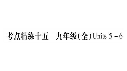 中考甘肃(冀教版)英语复习课件：作业 考点精讲15(共33张PPT)