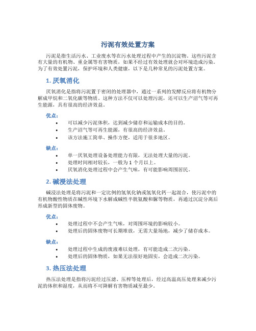 污泥有效处置方案