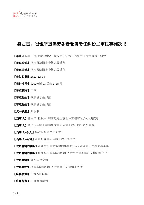 盛占国、崔银平提供劳务者受害责任纠纷二审民事判决书