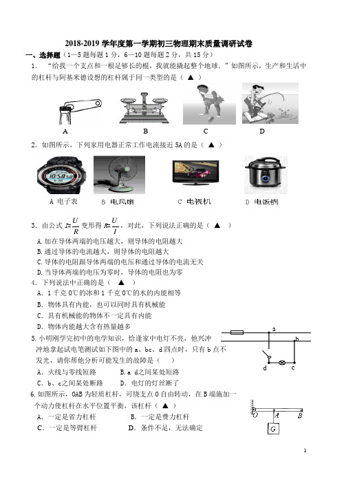 2018-2019学年度第一学期初三物理期末质量调研试卷(含答案)