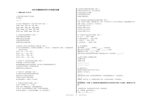 2019年湖南省永州市小升初语文试卷 (1)