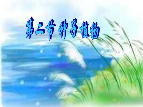 2018年七年级生物上册 3.1.2《种子植物》4 (新版)新人教版