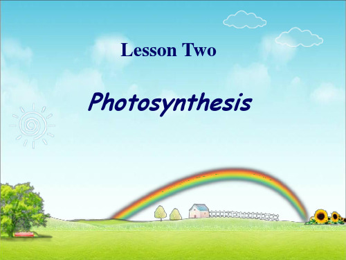 Lesson-2-Photosynthesis 生物专业英语